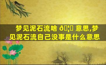 梦见泥石流啥 🦟 意思,梦见泥石流自己没事是什么意思